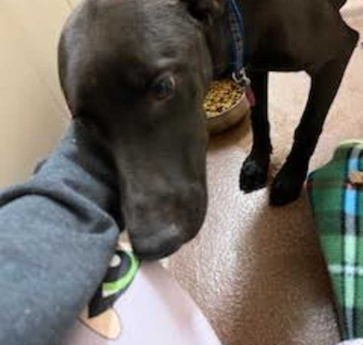 Photo of Coco