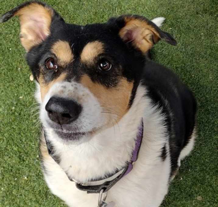 Photo of Lilly