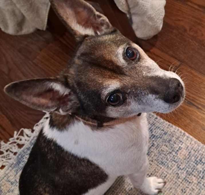 Photo of Small Paul