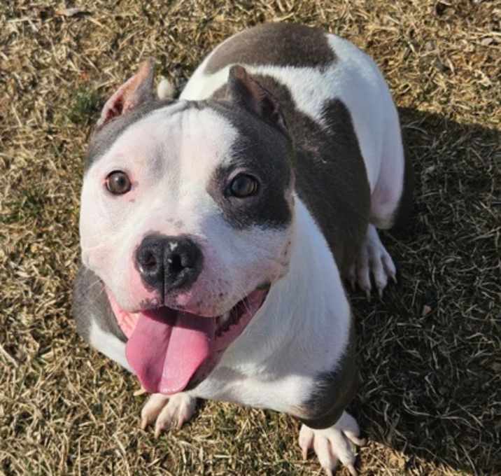 Photo of Willow