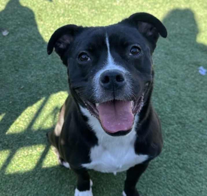 Photo of Xena