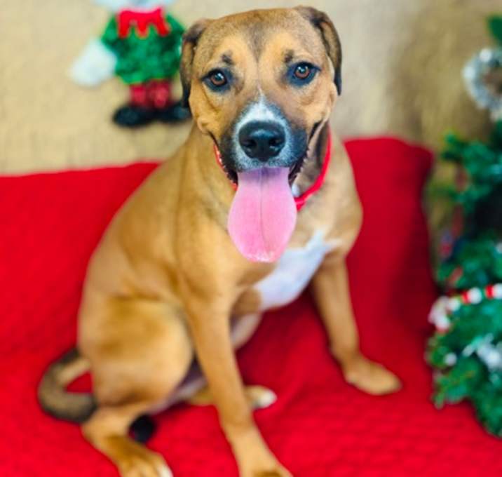 Photo of Sundance
