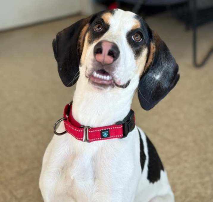 Photo of Nellie