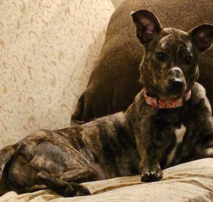 Photo of Kiara
