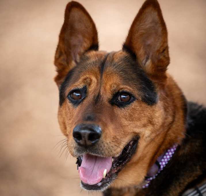 Photo of Marble