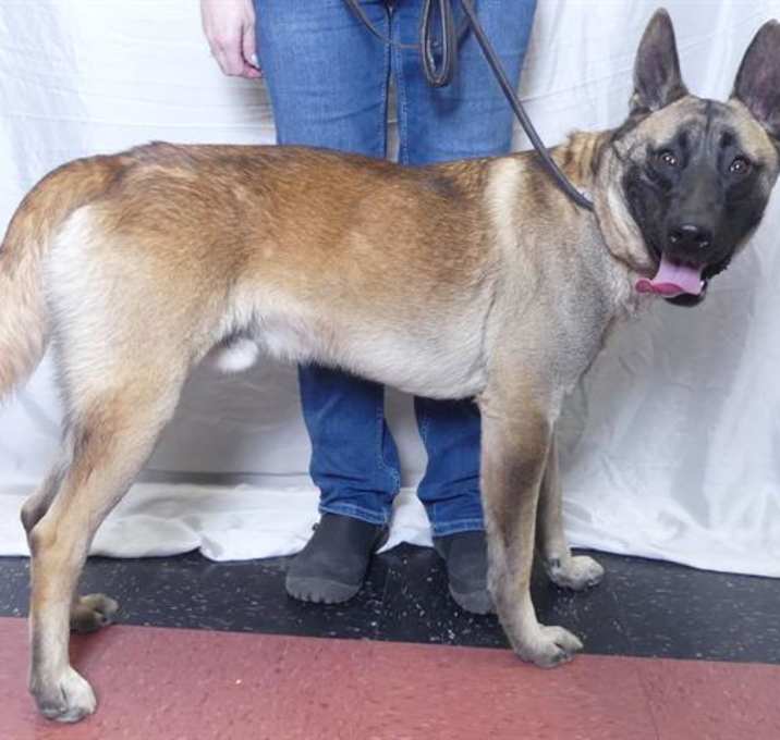Photo of TIAGO