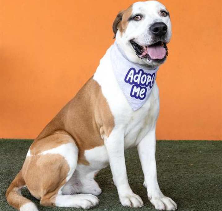 Photo of ASTRO