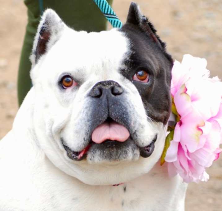 Photo of Sweetie