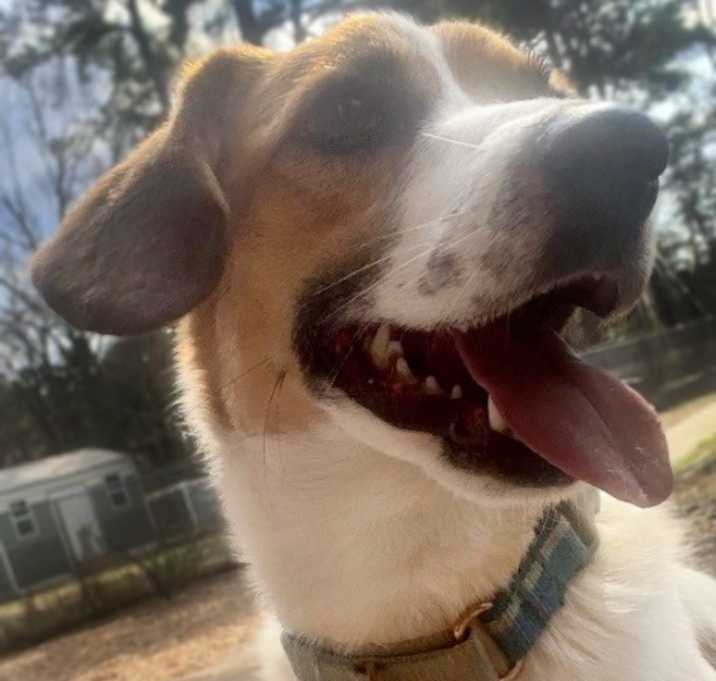 Photo of Lovely Trinket