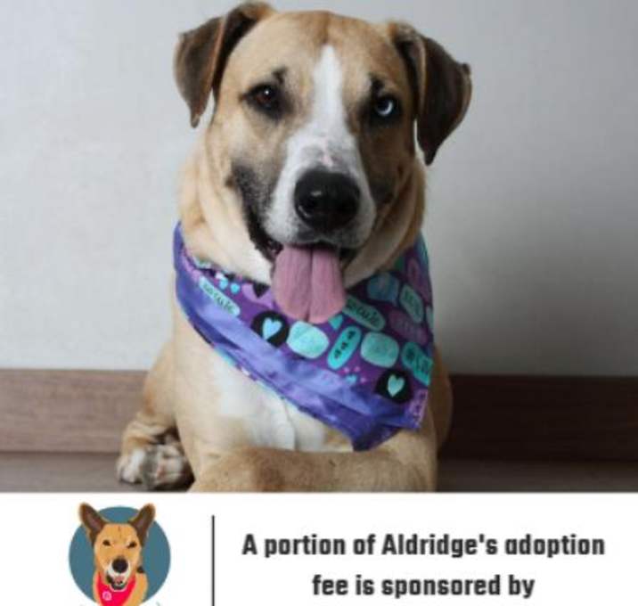 Photo of Aldridge ** D8986 (Sponsored)