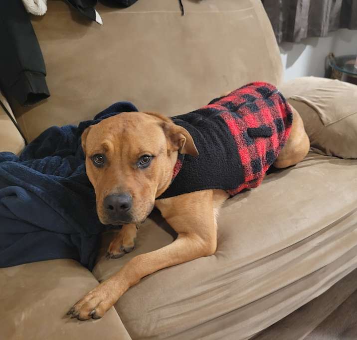 Photo of Rocky