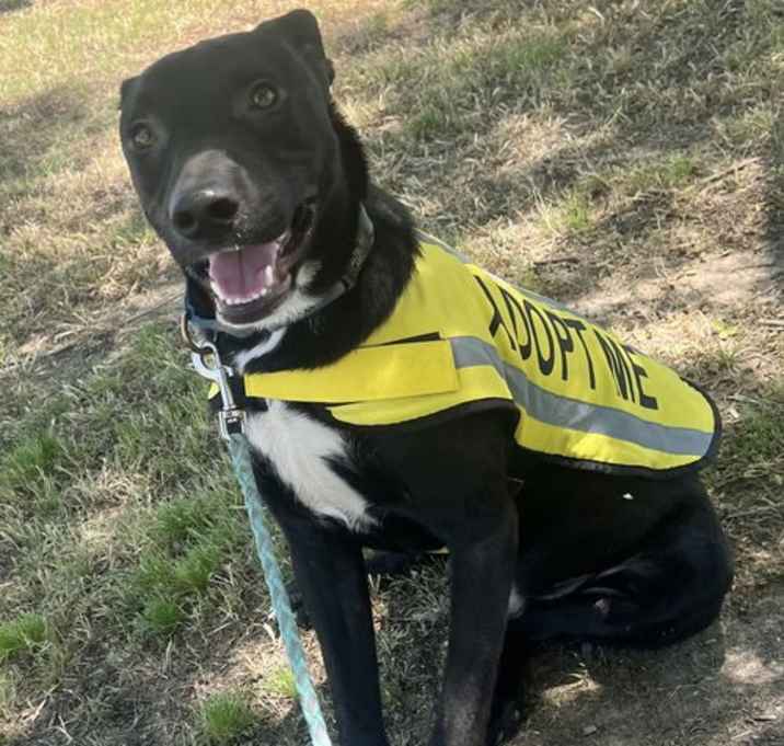 Photo of Hero