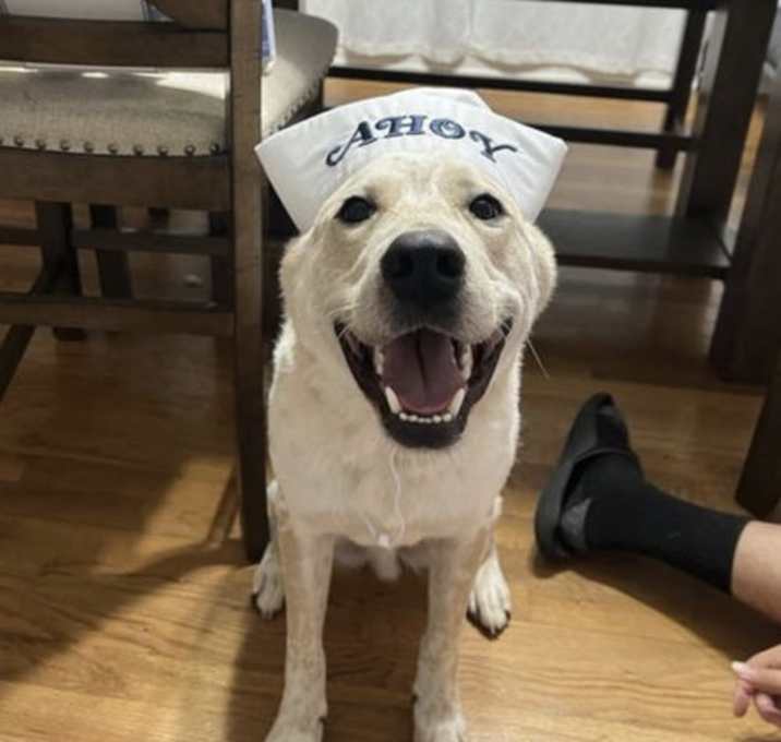 Photo of Levi Ahoy