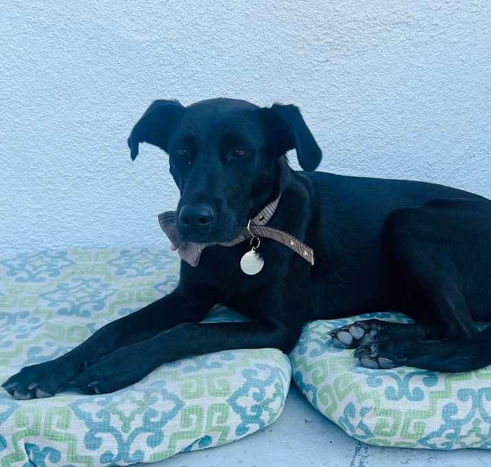 Photo of Coco