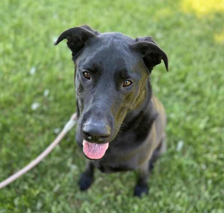 Photo of Oakley
