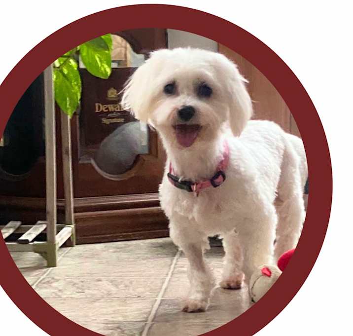 Photo of Ivy