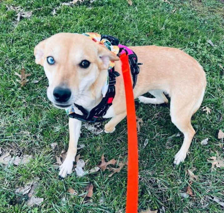 Photo of Penny DD