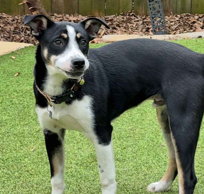 Photo of Wally