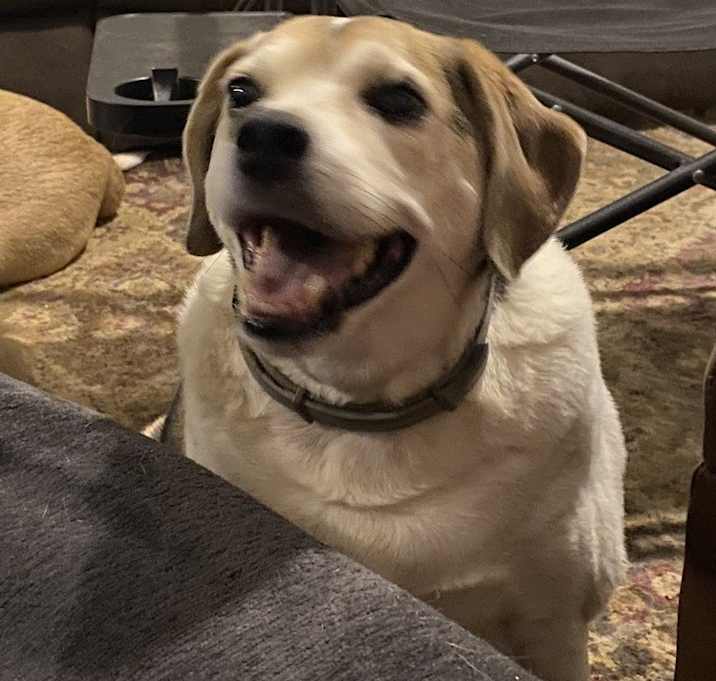 Photo of Big Ed