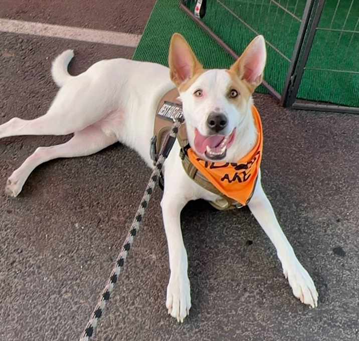 Photo of Sammy