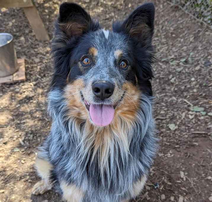 Photo of Jasper