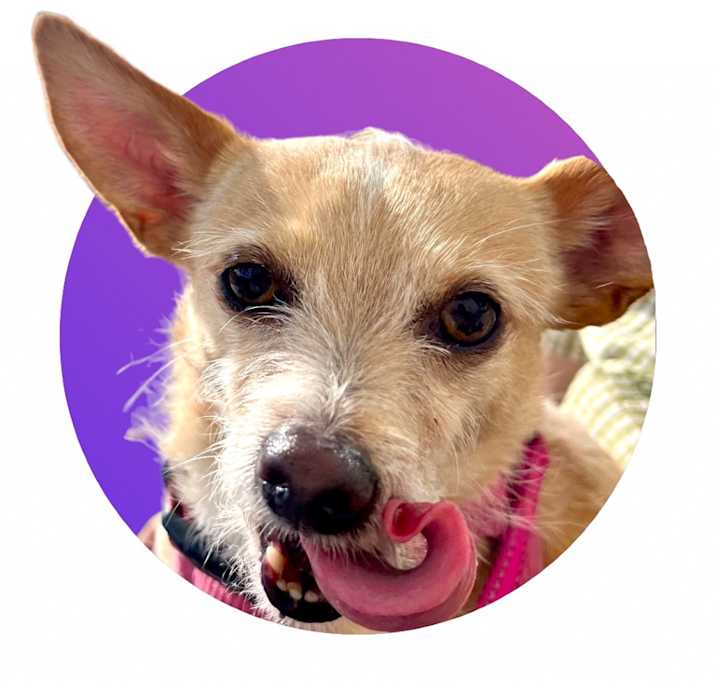 Photo of Lacey