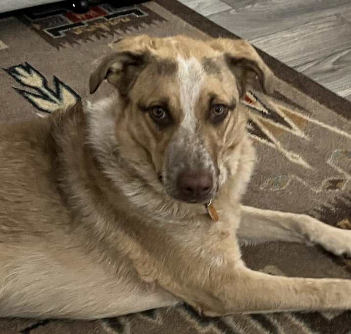 Photo of Bea