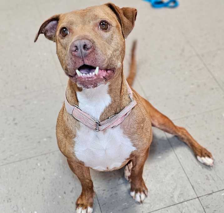 Photo of Pepper