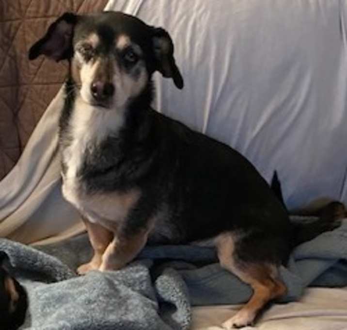 Photo of Samantha