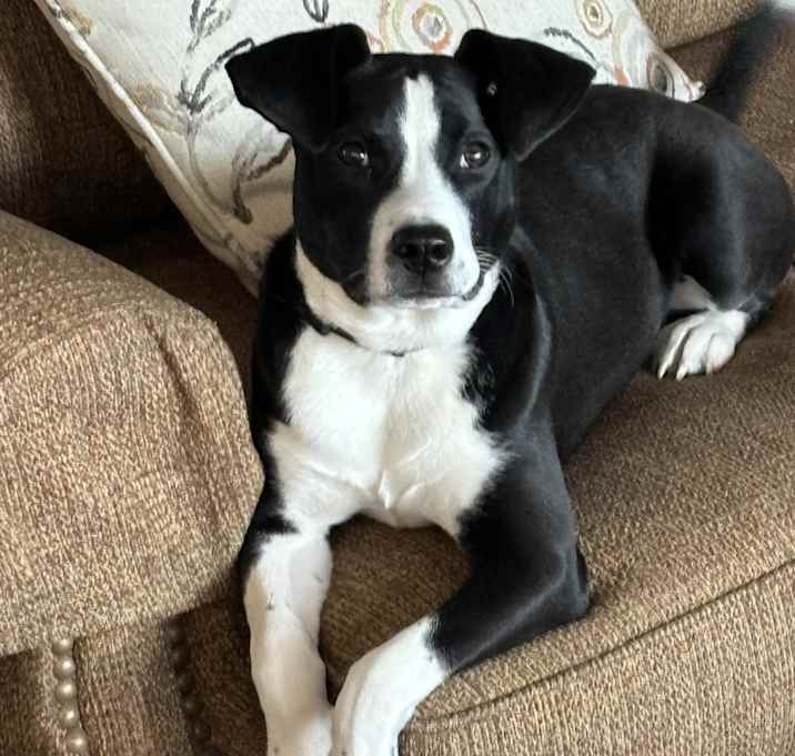 Photo of Tudy