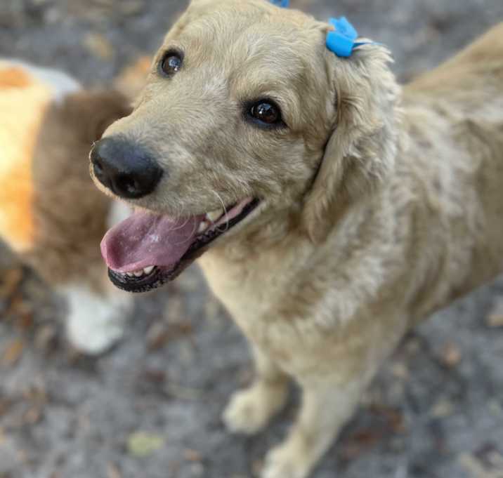 Photo of Winnie