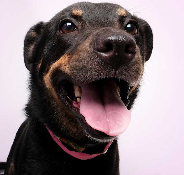 Photo of Mia