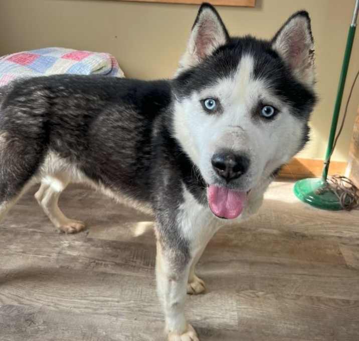 Photo of Yukon