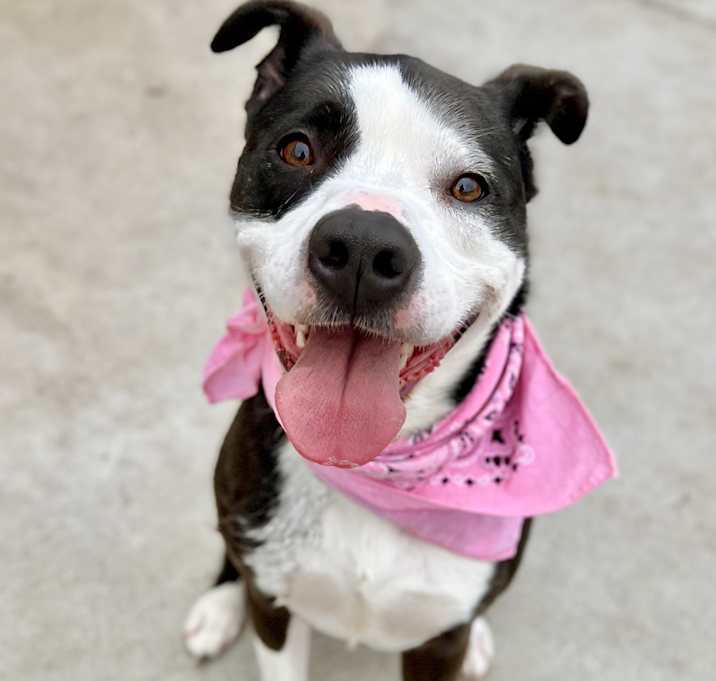 Photo of Betsy