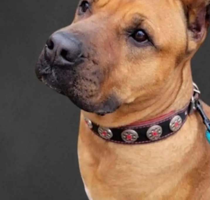 Photo of RUBY