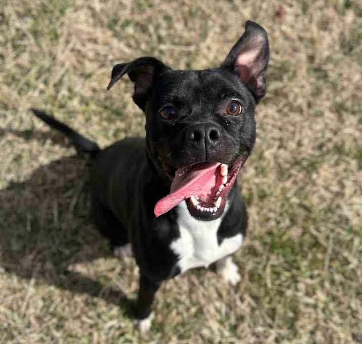 Photo of DJ