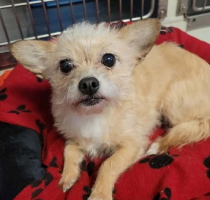 Photo of Delilah