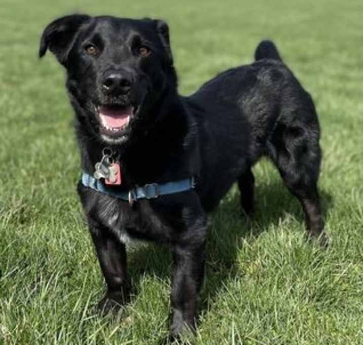 Photo of Arthur (GA)
