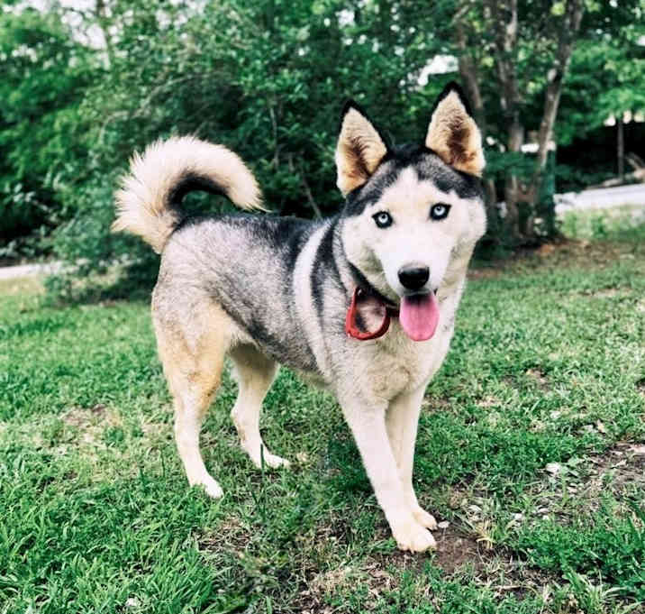 Photo of Sasha Mama