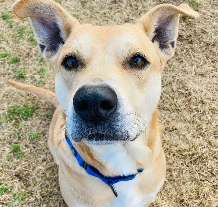 Photo of Finley