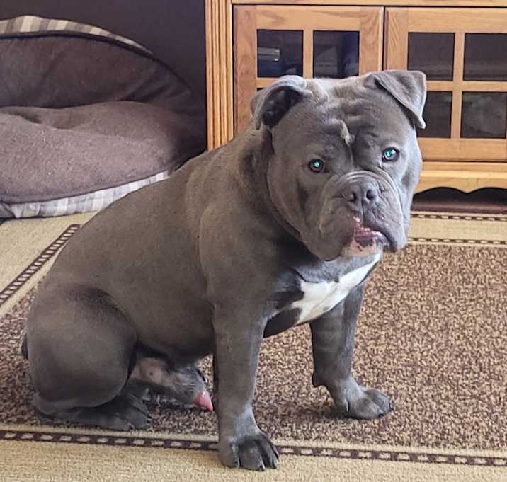 Photo of Gus
