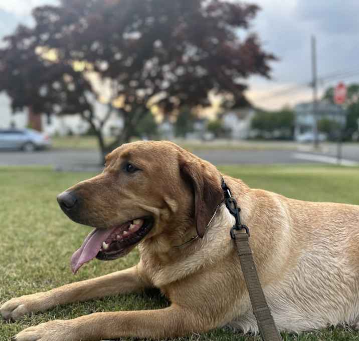 Photo of Logan