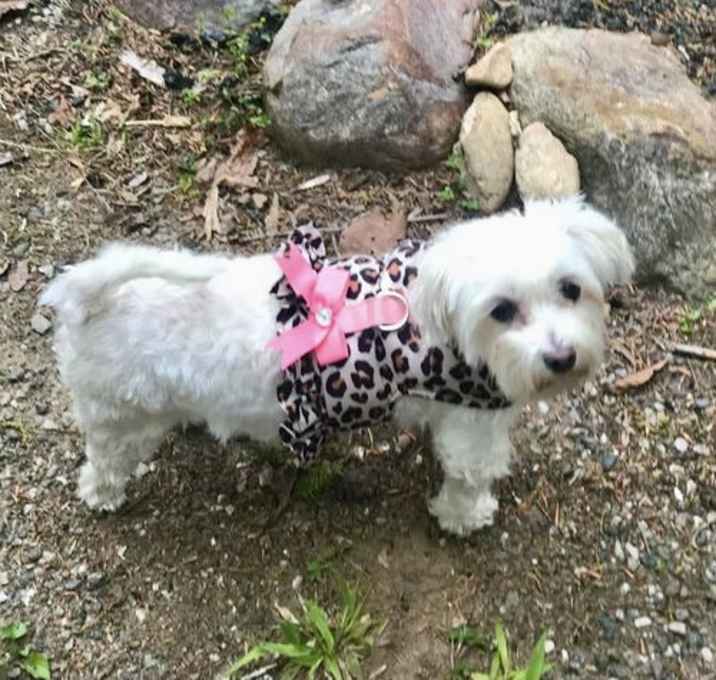Photo of Mae Mae