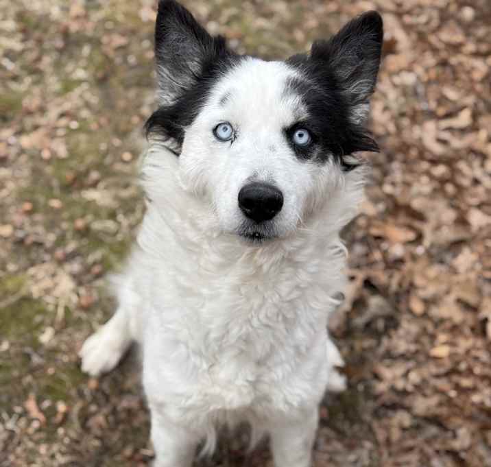 Photo of Bree