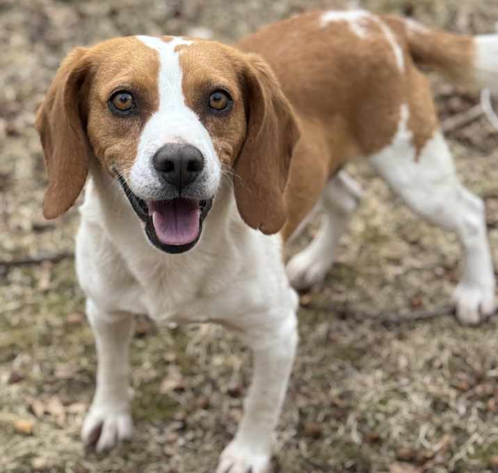 Photo of Franklin