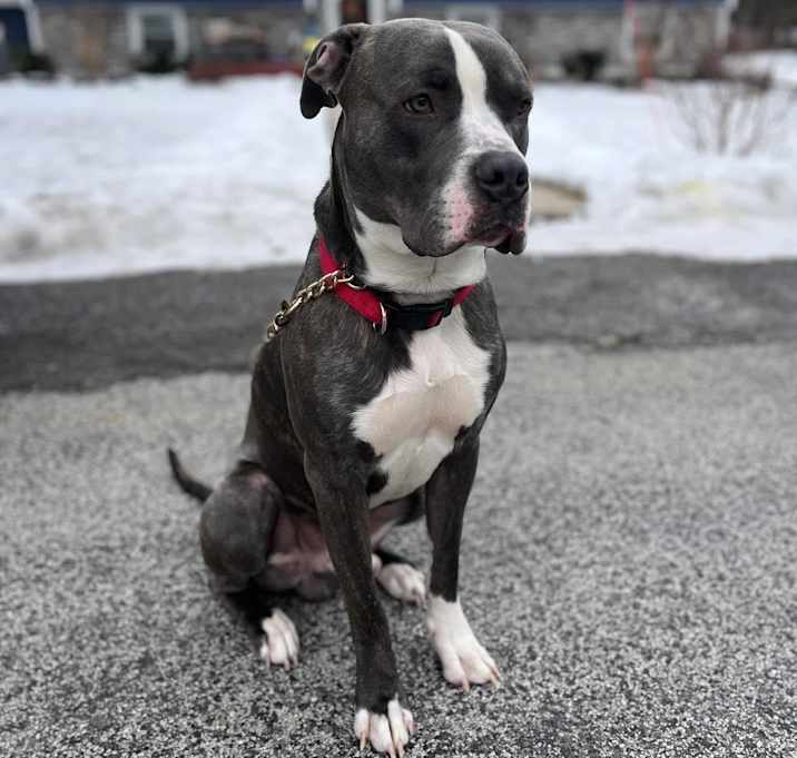 Photo of Ghost