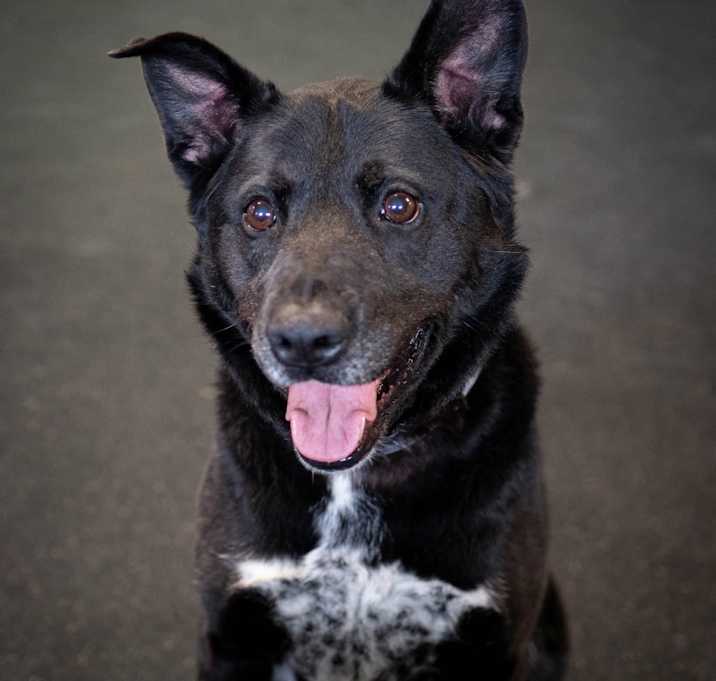 Photo of Diamond