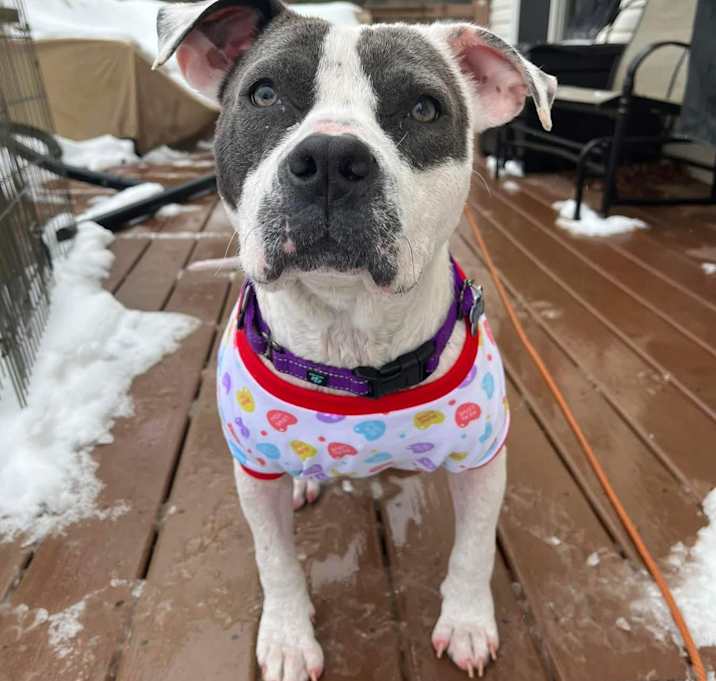 Photo of Phoebe