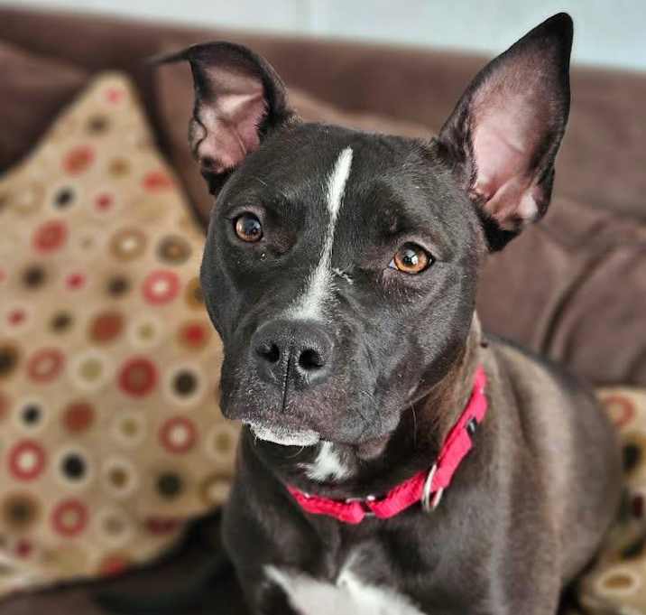 Photo of Xena