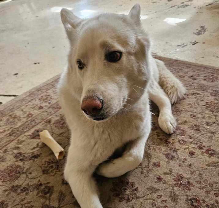 Photo of Leo